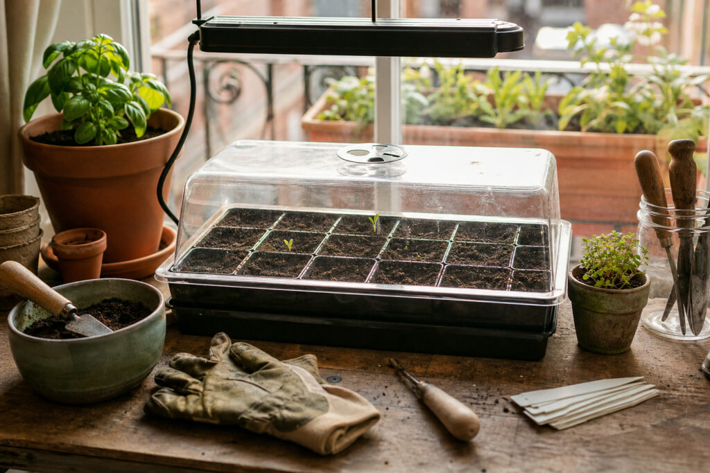 How to Start Seeds Indoors on a Windowsill (Small-Space Setup) — hero