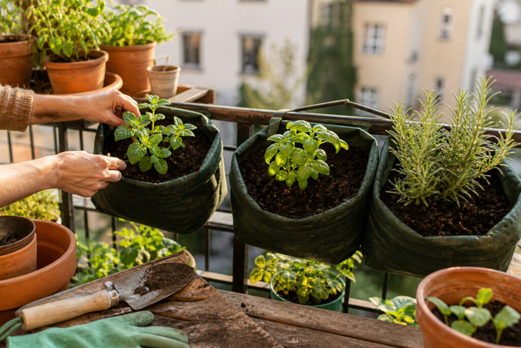 It's Not Too Late: 7 Things to Plant in Late June (in Pots) — hero