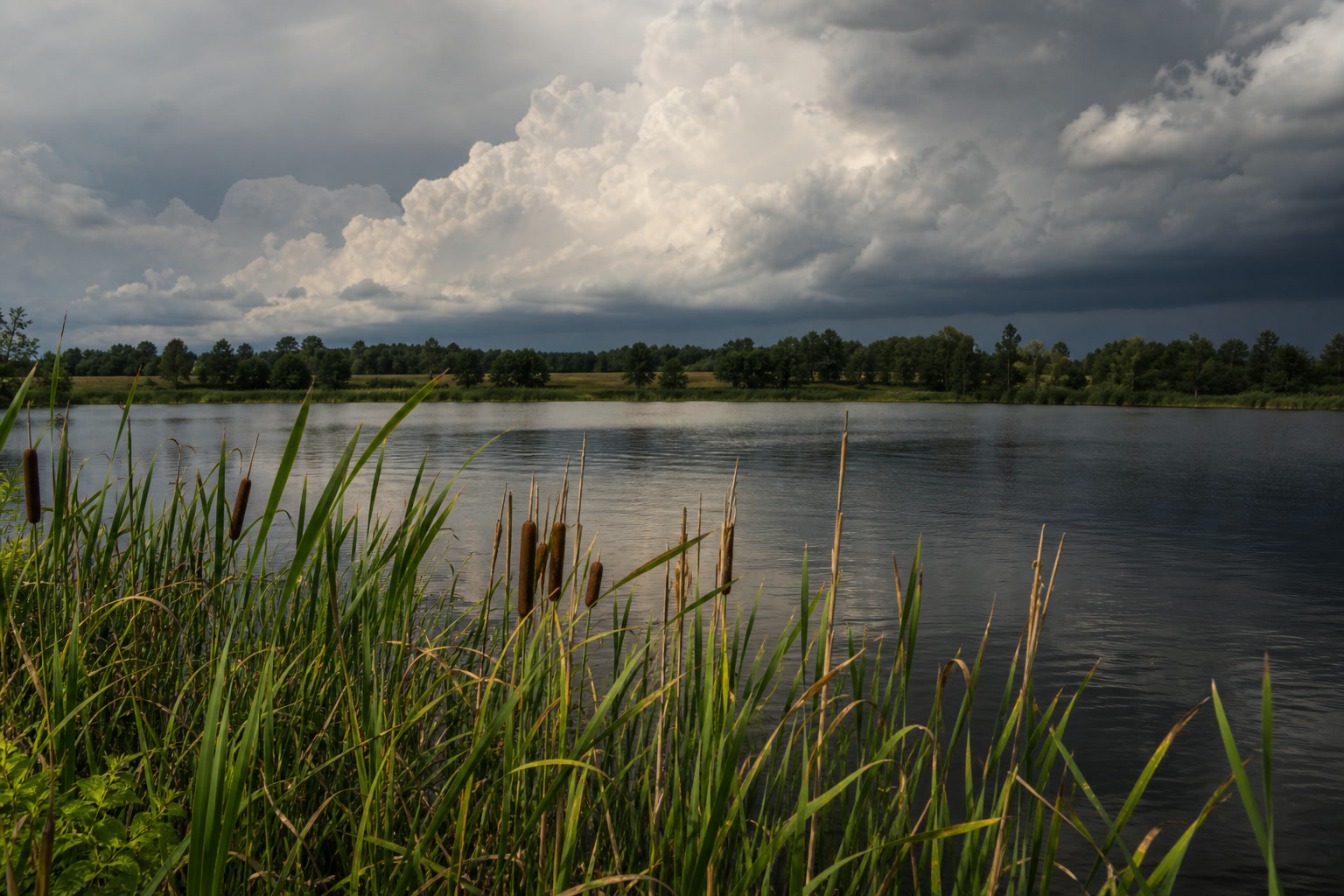 Best Days to Fish: How to Read the Three Signs — storm front