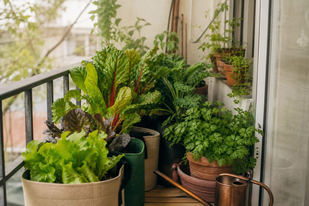 The Best Vegetables to Grow on a Shady Balcony