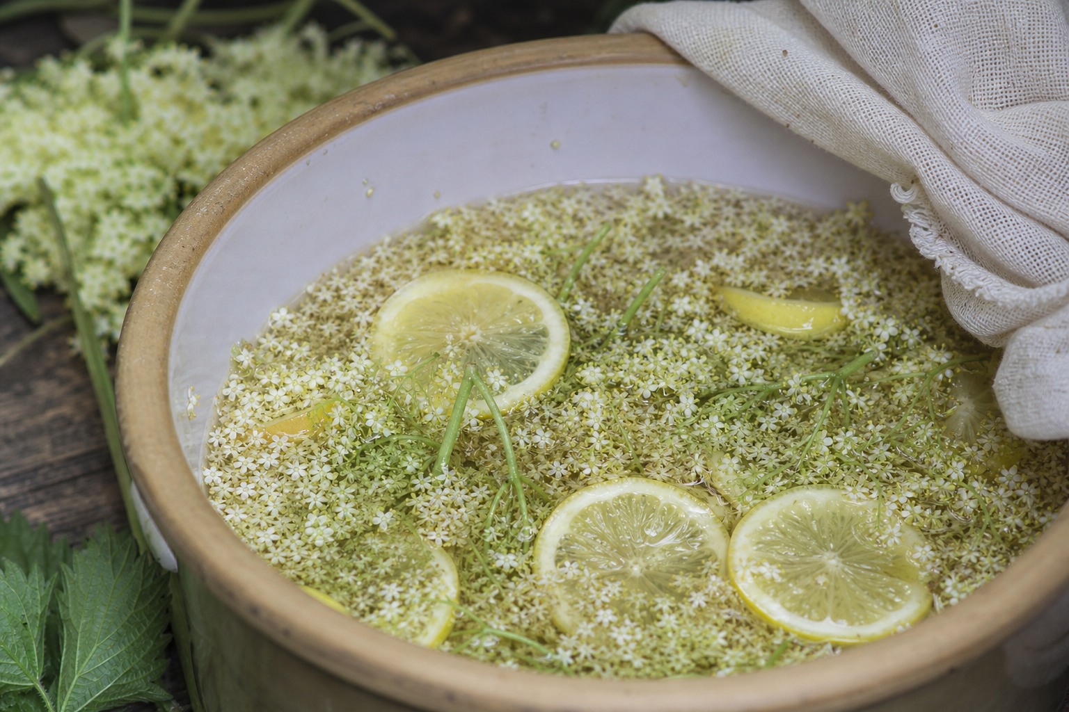 How to Make Elderflower Cordial from Foraged Blossoms — steep crock