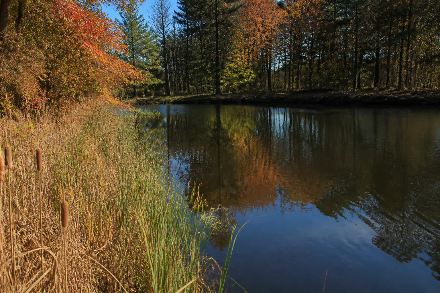 The Best Time of Day to Fish in the Fall — fall pond