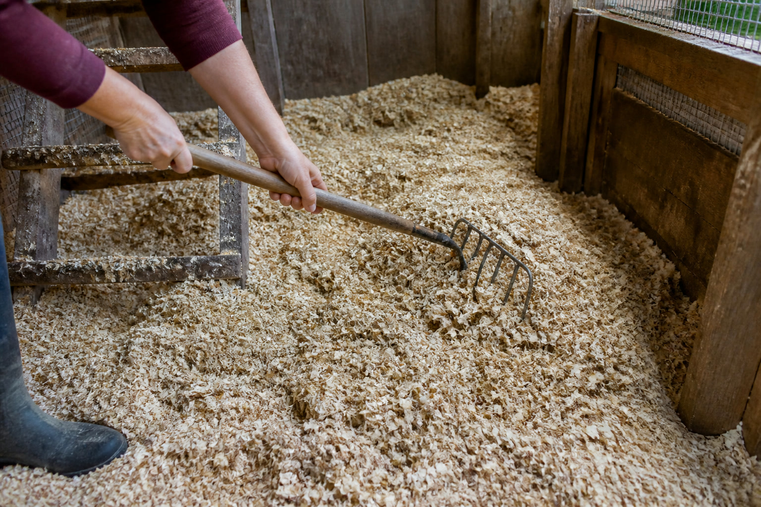 The Deep Litter Method for a Warm Winter Chicken Coop — turning litter