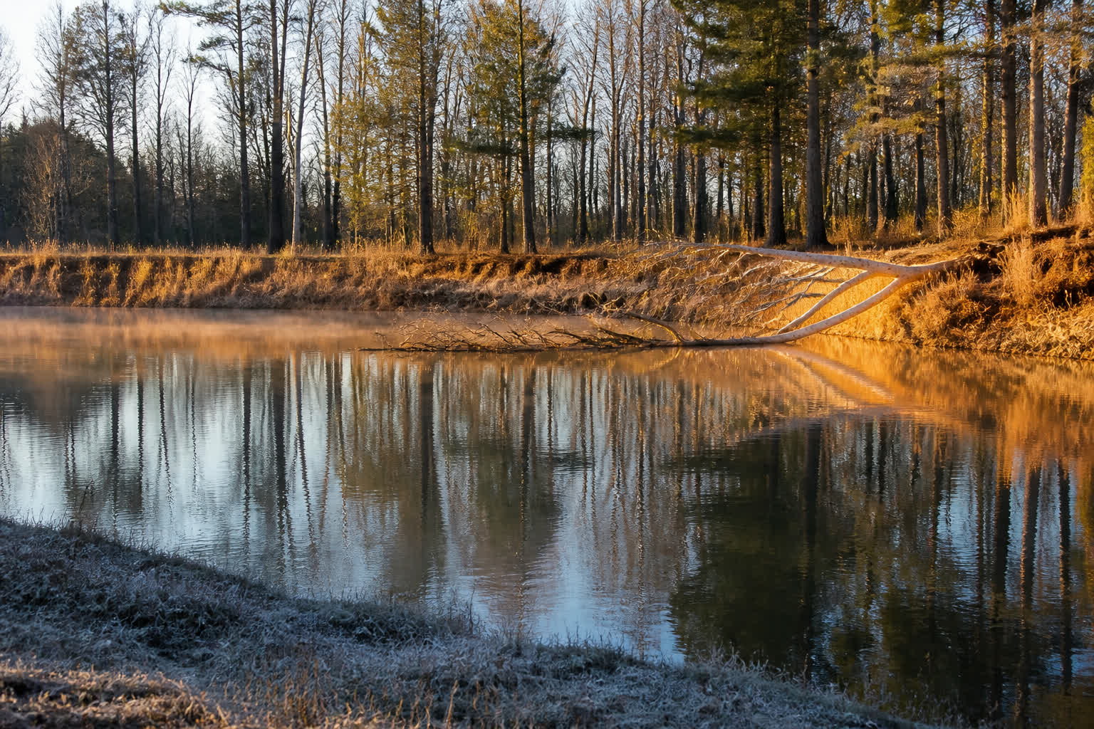 How to Fish a Pond in Cooler Weather, Step by Step — sunny north bank