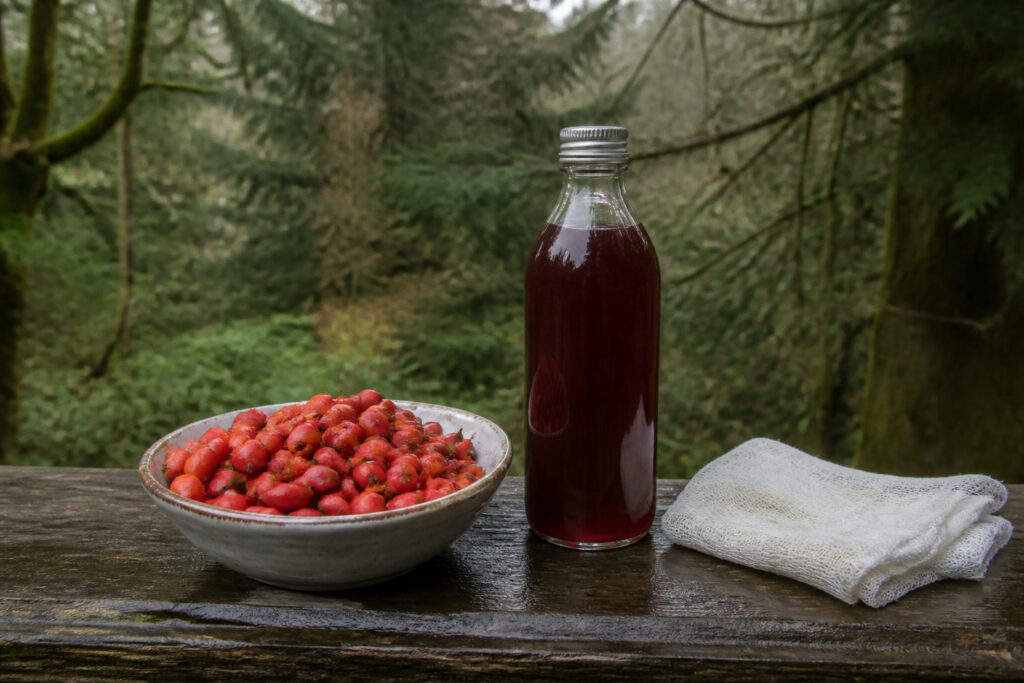 How to Forage Rose Hips (and Turn Them Into Syrup)