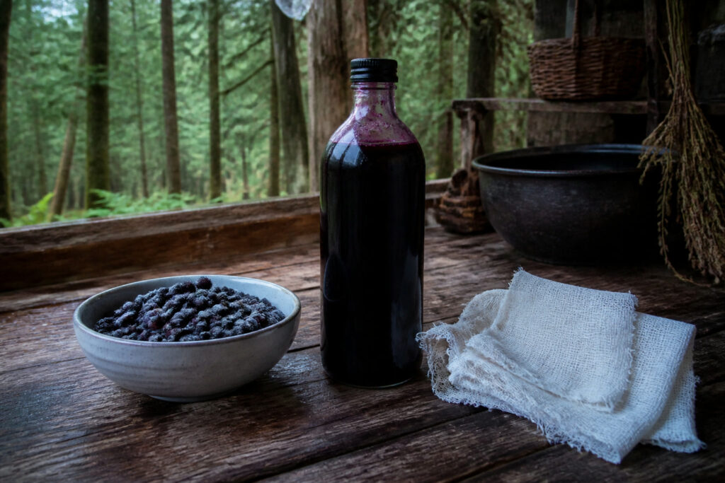 How to Make Elderberry Syrup: A Simple Forager’s Recipe