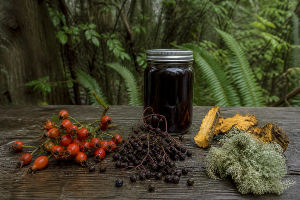 What to Forage in the Pacific Northwest This Fall